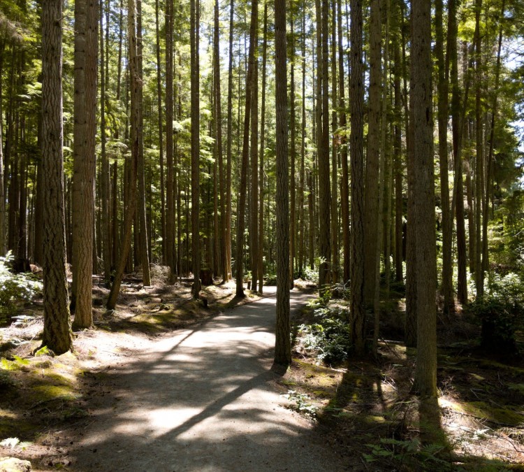 Trustland Trails - South Whidbey Parks & Recreation District (Langley,&nbspWA)